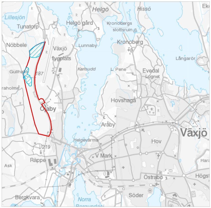 1 INLEDNING WSP har fått i uppdrag att ta genomföra en naturvärdesinventering av del av planerad detaljplan vid Öjaby.