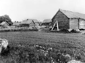 Fig 7:2. En typisk bondgård så som de ofta såg ut under 1700- och 1800-talen. Kveks by, Fröslunda socken, i början av 1900-talet.