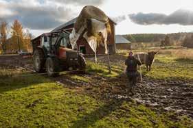 Jordbruk, skogsbruk och andra platsbundna näringar De platsbundna näringarna jord- och skogsbruk är en central del av Umeås näringsliv och bidrar till lokal livsmedelproduktion, en stark regional