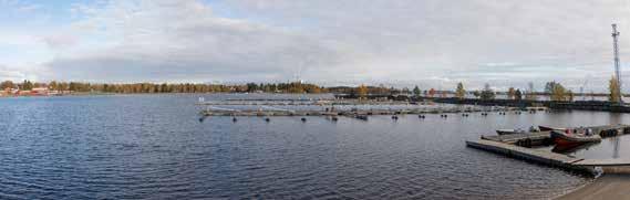 Turism och besöksnäring Besöks- och upplevelsenäringen växer och ses generellt som en framtidsbransch för landsbygder.