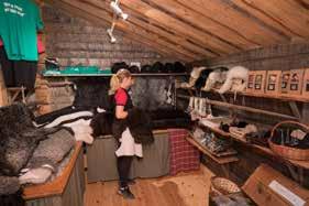 Tanken är att de många natur-, kulturmiljö- och rekreationsområdena, anläggningar och resurser kan fungera som bas för en utvecklad besöks- och turismnäring.