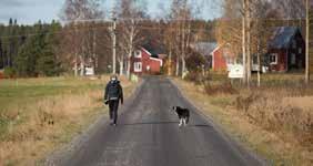 1. Inledning I Översiktsplan Umeå kommun Tematisk tillägg för landsbygden anges målsättningar för hållbar landsbygdsutveckling. I detta program visas hur målsättningarna kan genomföras.
