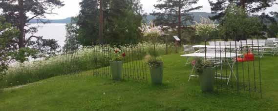 Utsikt från Wärdshuset Prästgården (foto: Jennie Lindström), Mickelbo Gård, Mickelsträsk (foto: Fredrik Larsson), Buss i Tavelsjö (foto: Fredrik Larsson) Tavelsjöbygden I den välkomnande