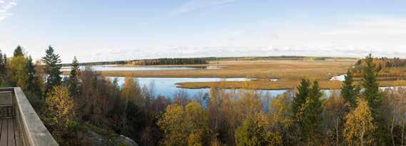 Regionala samarbeten som i Umeåregionen, Biosfärområde Vindelälven-Juhtatdakha och Leaderområden är goda exempel på hur samverkan mellan stad, samhällen och landsbygd kan skapa en positiv