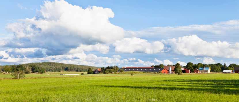 Det här är Landshypotek Landshypoteks uppgift är att tillhandahålla konkurrenskraftig finansiering och erbjuda finansiella tjänster till Sveriges jord- och skogsbrukare.