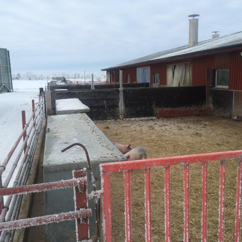 Ovan visas en bild från en av de ingående besättningarnas utomhusdel under vintern.