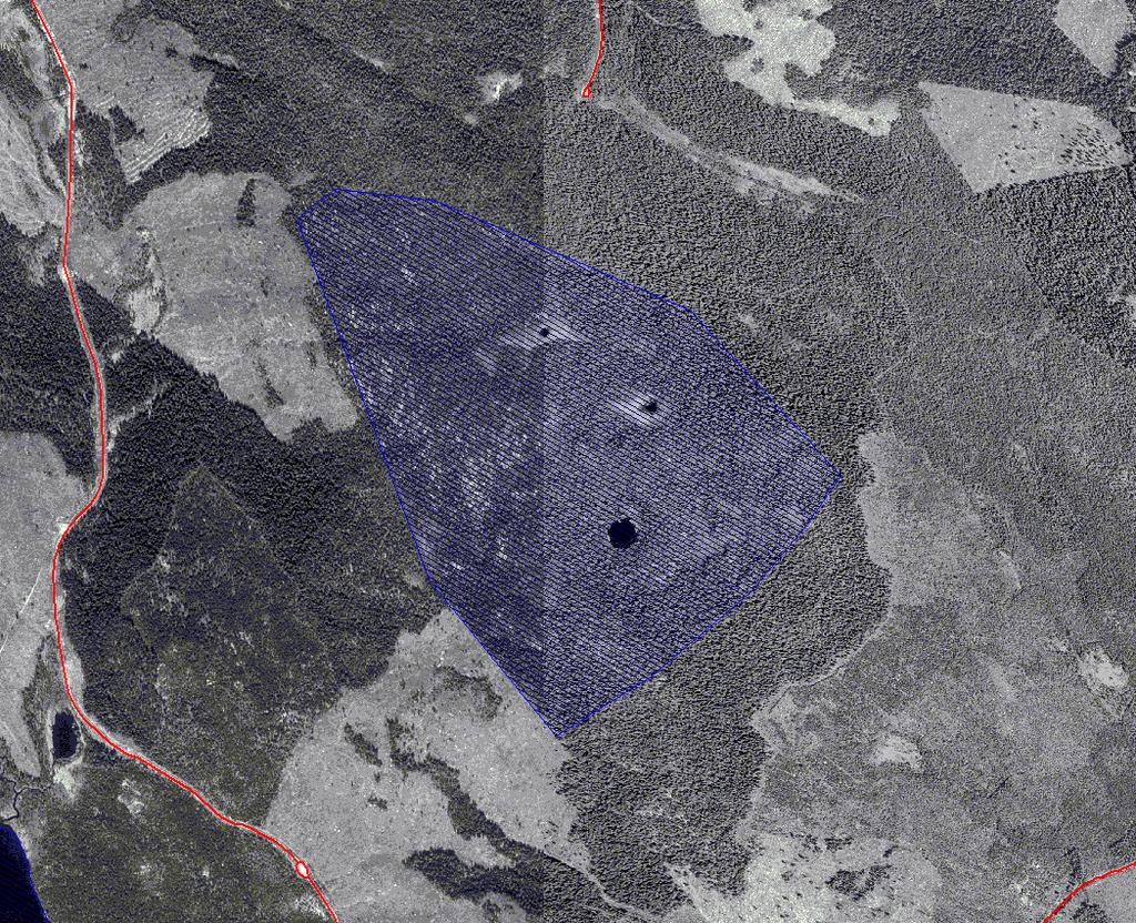 över Natura 2000-området Bågaliden. Lantmäteriet, 2004.