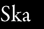 projektet Service i samverkan