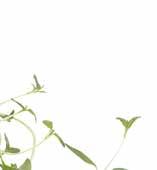 info@mhkfoods.se www.mhkfoods.se Med närhet och hantverk i fokus!
