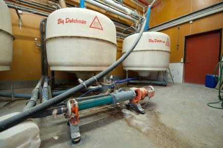 Utfodringskontroll smågris- 50A, slaktsvin- 50B Kväve- och fosforeffektiviteten beräknas före och efter åtgärder Åtgärdsförslag för minskad överutfodring av protein och fosfor Energikollen- 21ABC