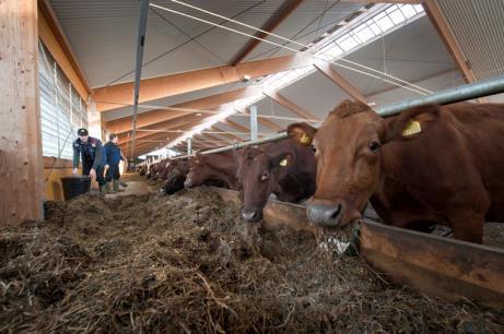 växtnäringsförluster ekonomi Målbeskrivning för grovfoder Endags utfodringskontroll