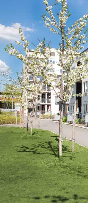STENI NATURE LØRENKVARTERET Plats: Lørenkvarteret / Oslo, Norge Arkitekt: AS Selvaagbygg Entreprenör: AS Selvaagbygg Byggherre: Selvaag Bolig År: 2007 Produkt: STENI Nature Ett bostadshus utsätts för