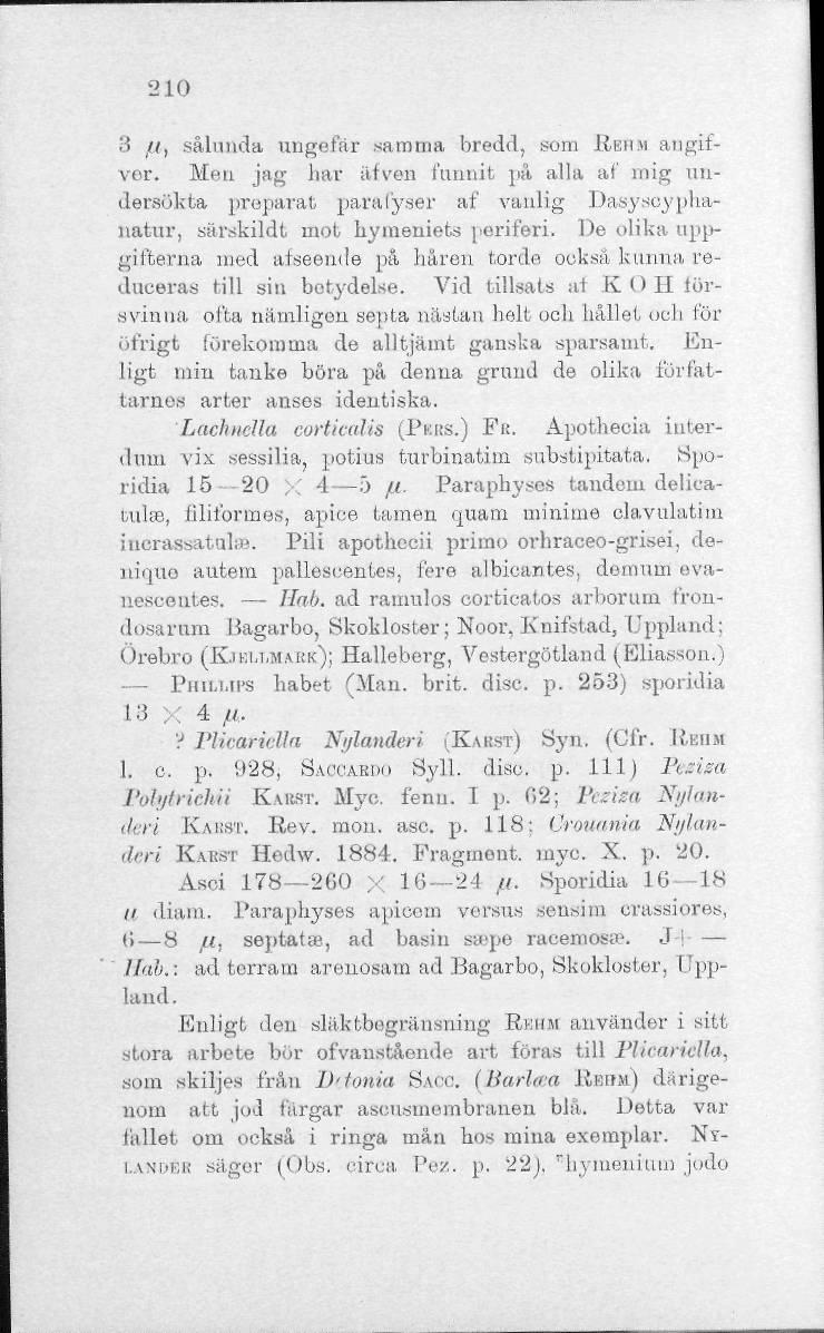 210 3 fl, sålunda ungefär samma bredd, som RBHM augifvor. Men jag har af ven funnit på alla af mig undersökta preparat paralyser af vanlig Dasyscyphanatur, särskildt mot hymeniets periferi.