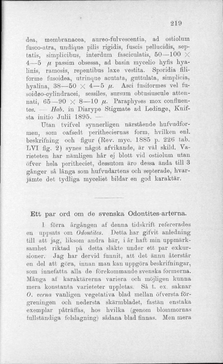 219 dea, membranacea, aureo-fulvoscenlia, ad ostiolum fusco-atra, undique pilia rigidis, fuseis pellucidis, septatis, simplicibus, interdum fasciculatis, 50 100 X 4 5 fi passim obsessa, ad basin
