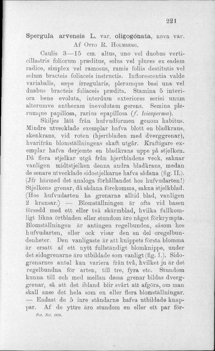 221 Spergula arvensis L. var. oligogönata, nova var. Af OTTO B. HOI.MBEKC. Oaulis 3 15 cm.