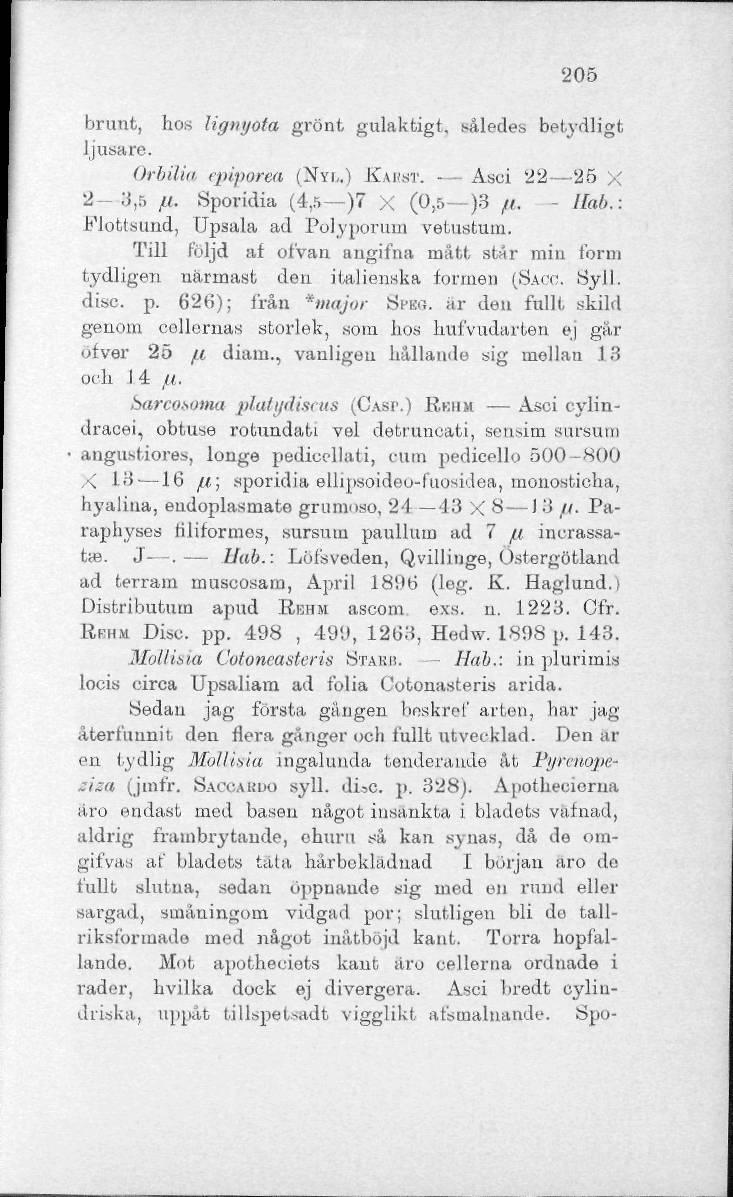 205 brunt, hos lignyota grönt gulaktigt, således betydligt ljusare. OrbUia epiporea (NYI,.) Kks.su. Asci 22 25 x 2 8,5 fl- Sporidia (4,5 )7 X (0,5 )3 fl. - Ilab.