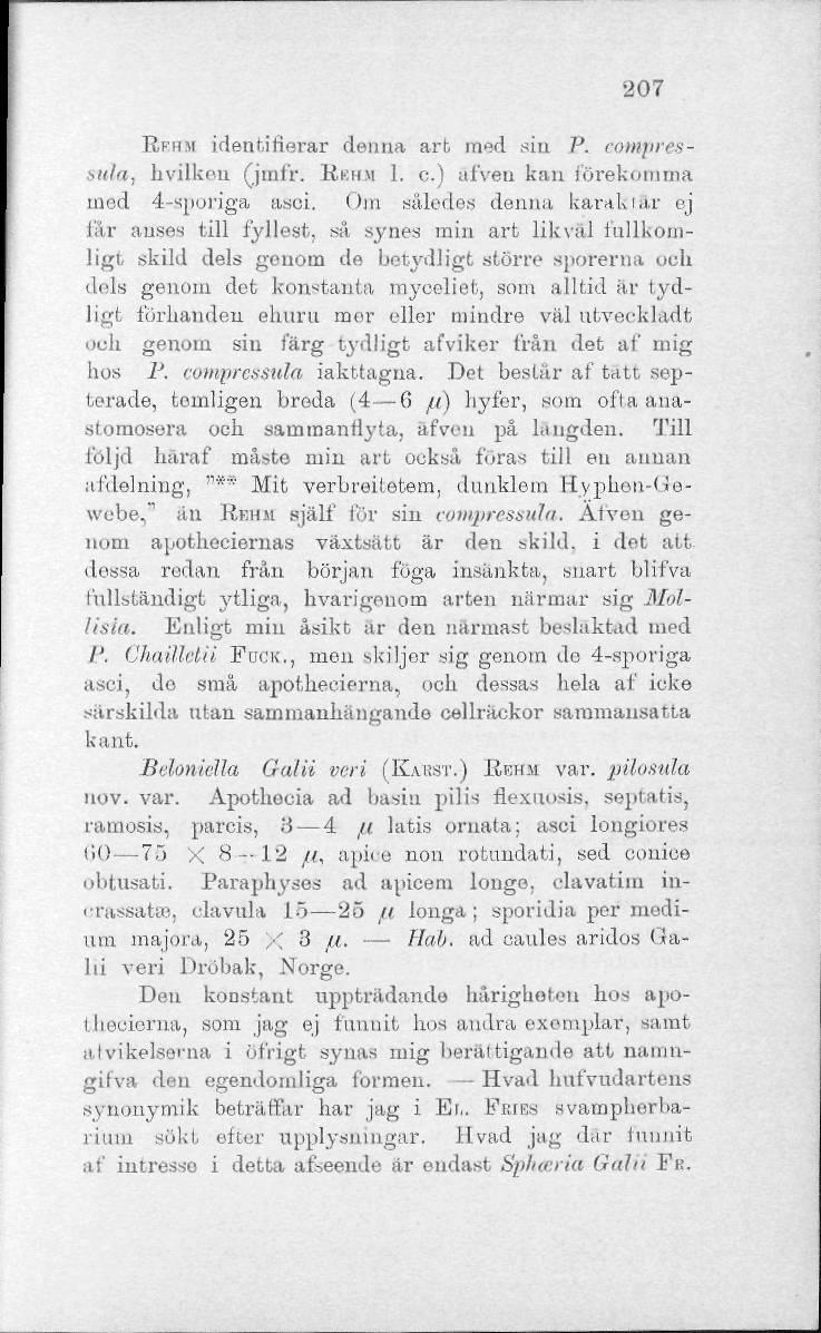 207 RFIIM identifierar denna arb med sin P. eothpressula, hvilken (jmfr. RKHM 1. c.) afven kan förekomma ined 4-aporiga asoi.