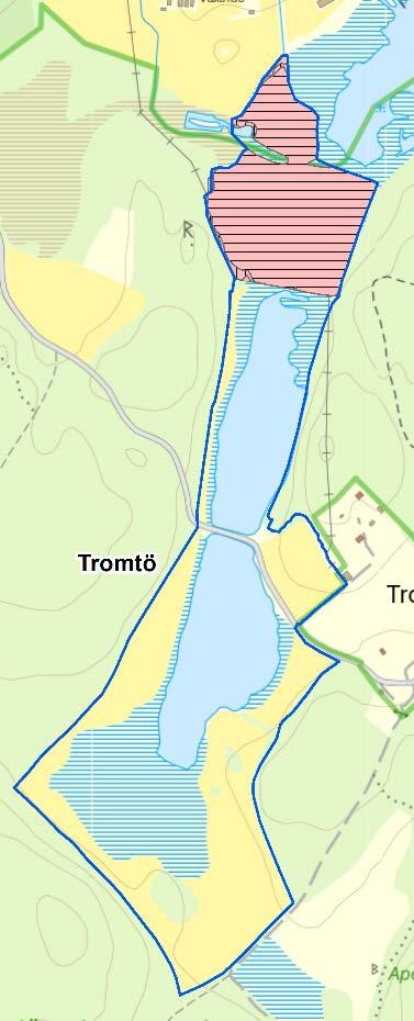 Grågås 2 Tofsvipa 3 Enkelbeckasin 1 Rödbena 1 Vadare/ha 0,15 Viet är ett av de områden som hyser lägst antal och tätheter av strandängsfåglar och får därmed anses vara av ringa värde för denna fauna.