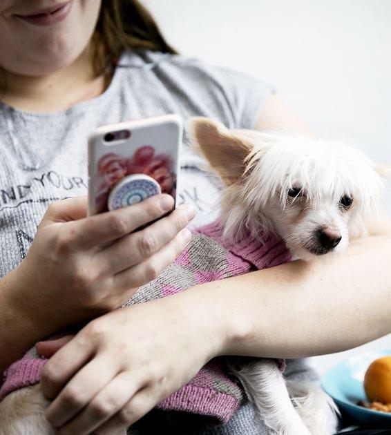 Tjänsterna och stödet planeras individuellt i enlighet med personens önskemål och behov. Rätten att göra val och fatta beslut som rör det egna livet förutsätter att personen ges alternativ.