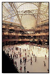 2. Ice rink technology A heat transfer fluid is circulated through a network of pipes to provide required cool load in the ice rink surface.