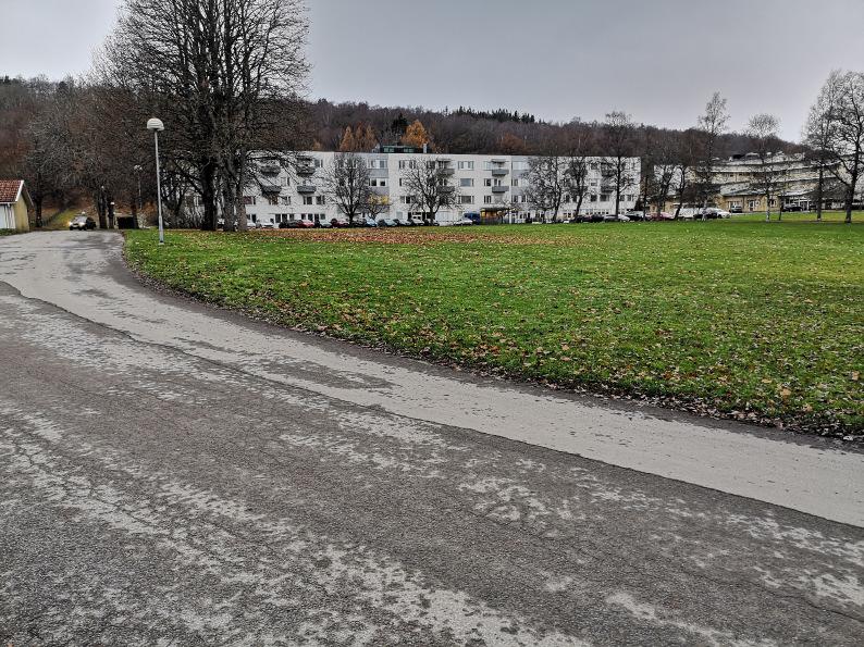 Naturvärdesinventering (NVI) av