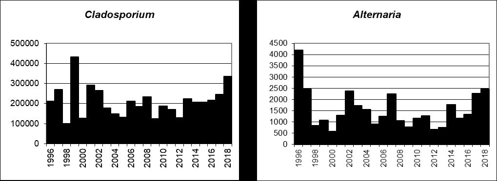 6. SPORSÄSONGEN 6.1 Cladosporium och Alternaria Under perioden juni-september analyseras vid mätstationen i Stockholm förutom pollen även luftburna mögelsporer i utomhusluften.