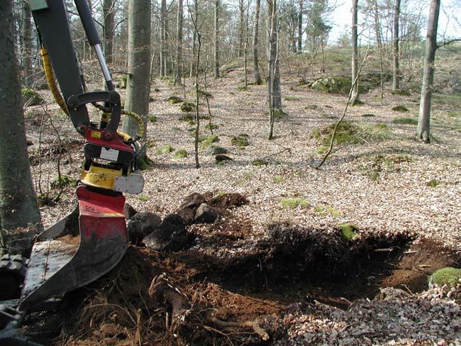 med avsikt att få en bättre bild av deras ålder och beskaffenhet.
