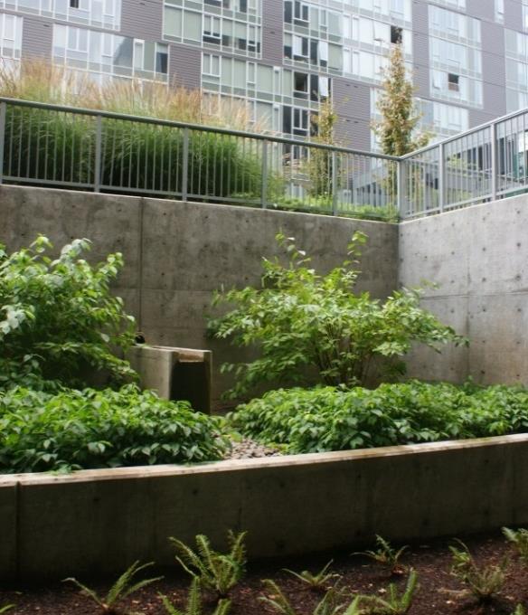 Avvattning av terrasserade innergårdar med hjälp av planteringar, rännor och överfall.
