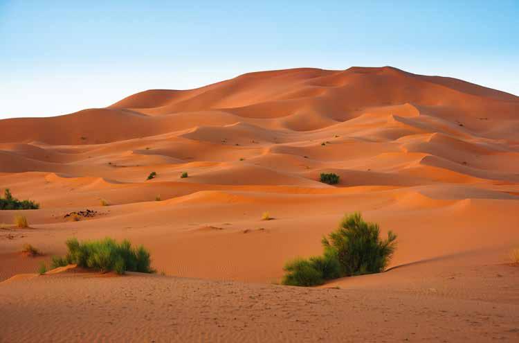 78 Kapitel 1 Klimatzonerna 79 Sahara Sahara ligger i Nordafrika och är världens största öken. Men Sahara har inte alltid varit öken.