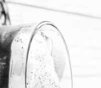 300 ml kochendem Wasser überbrühen. 5 Minuten ziehen lassen, dann den Tee entfernen.