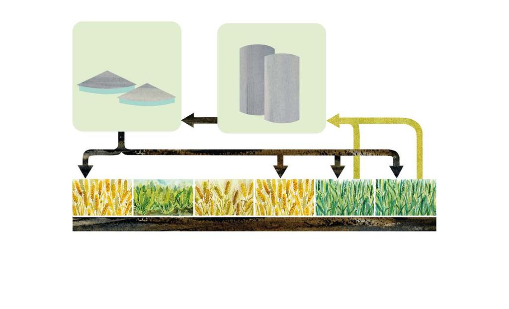 Gräs som biogasråvara rötresten