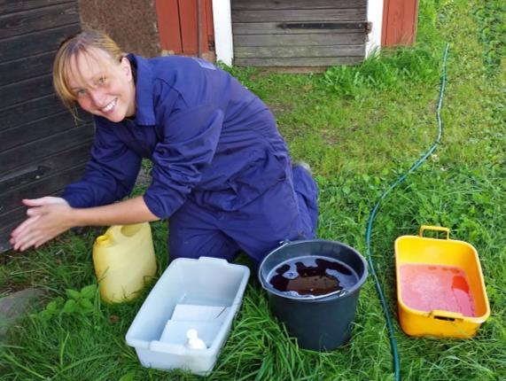 EHEC och smittor som besökare skulle kunna råka föra över till får är t.ex. MRSA (resistenta bakterier).