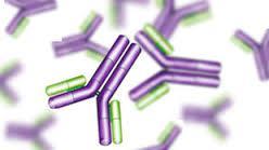 och/eller T-cell receptor