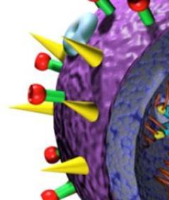 vacciner - attenuerade virus (polio,