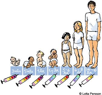 Vaccination i Sverige Andra tillgängliga vacciner: Hepatit A och B TBE (Tick borne encephalitis) Tuberculosis (Mycobacterium tuberculosis) Salmonella typhi, Vibrio cholera, Bacillus anthracis, mfl