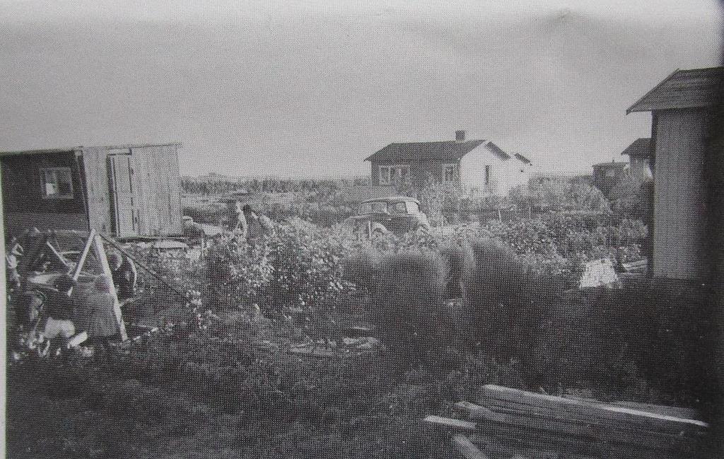 Koloniområden i centrala stan försvann för annat bostadsbyggande och HSB ville att barnfamiljer skulle få uppleva naturen och få tillgång till bad.