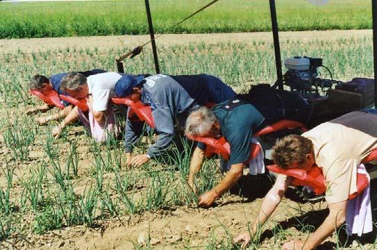 Generella principer enligt 834/07 Mekaniska produktionsmetoder Markrelaterad produktion Ingen GMO Förebyggande