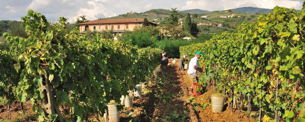 Via Francigena, Lucca San Miniato Siena, 7 nätter 1(7) Vandra i Italien Via Francigena, 7 nätter Lucca San Miniato Siena, 5 vandringsdagar Denna etapp av Via Francigena tar dig genom den norra delen