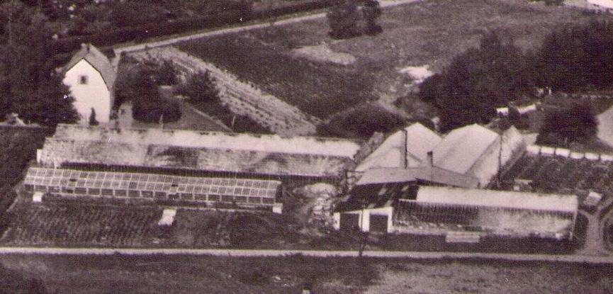nebyberg flygfoton och kvarterskartor. Ytmässigt syns den vara något mindre än Almgrens, ytan växthus ser ut att vara ca hälften av Almgrens.