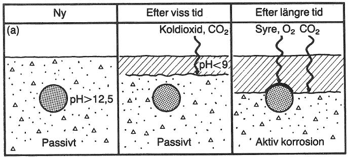 2.3. Orsaker till korrosion 2.3.1 Karbonatisering Karbonatisering är en process där koldioxid diffunderar (tränger in) i betong vilket leder till att betongens höga alkalitet med ett ph-värde runt 13