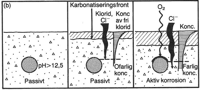 Figur 10: Karbonatiseringsdjupet i regnutsatta respektive regnskyddade konstruktioner med olika vct-tal [6]. 2.