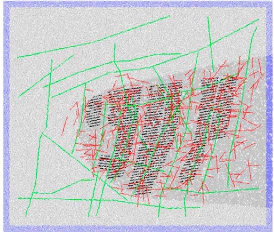 target fractures (red) and the heat emitting particles (black dots).