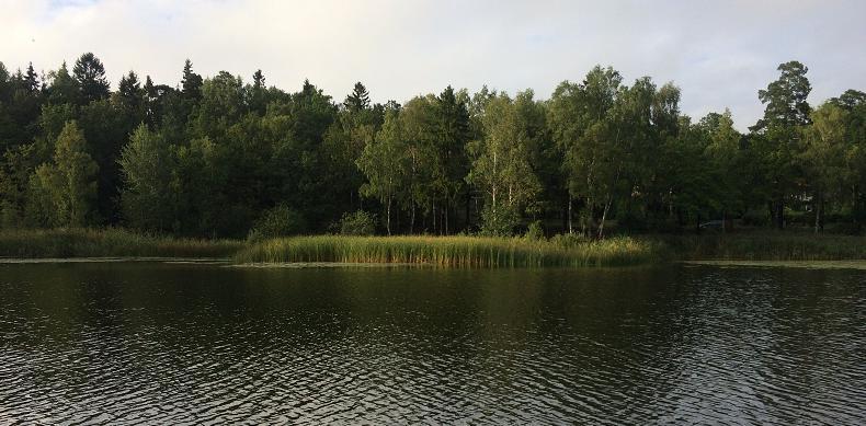 höga