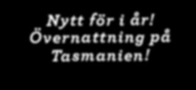 Därför finner vi även här en Harbour Bridge och ett Sky Tower.