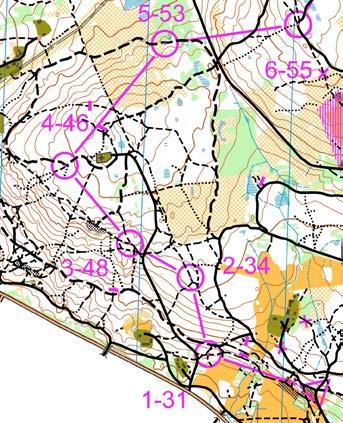Medeldistans Medeldistansen kännetecknas av intensiv kartläsning som kräver full koncentration hela tiden.