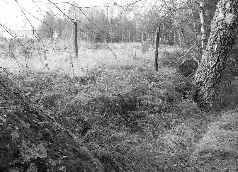 Fig. 5. Åkerterrassen i den norra delen av åkerytan. Foto taget mot väst. Foto: Ewa Ryberg. U-4122:1. Fig. 6.
