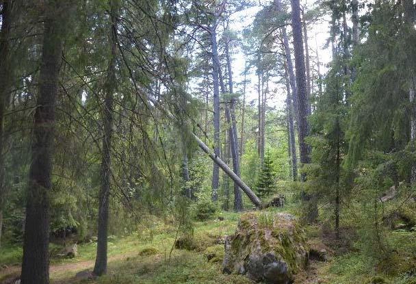 Foto som visar vy inom del av Grönområde (nr.