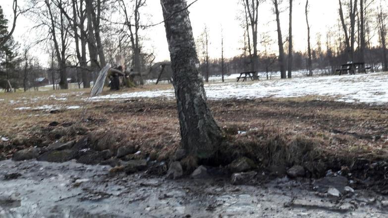 Diabas stenblocket vid Holmbron Diabas är en gångbergart, d.v.s. den förekommer i smala gångar i berggrunden.