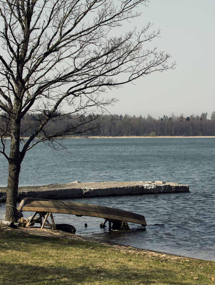 Parkhusen Husliv i ny tappning I Wijk Oppgård växer en ny mysig trädgårdsstad fram med närhet till natur och hållbart boende i fokus.