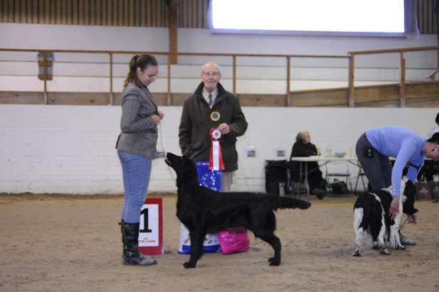 BIS Jaktmeriterad 1 Flatcoated retriever J RLD F RLD N SE VCH Skeppartorps Hope For The Future SE53858/2016 FÖDD 2016-10-07, E.